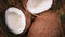 Ripe coconuts on palm branch, rotating background. Top view. Tropical fruit. Healthy food, skin care concept. Coconut