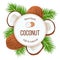 Ripe coconuts and palm leaves around circle badge with text farm fresh 100 percent natural