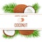 Ripe coconuts and palm leaves with text 100 percent natural. whole and cracked