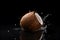 Ripe coconuts with water drops on a black background, Generative AI