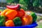 Ripe colorful bell pepper harvested in a bowl outdoors on a sunny day. Full plastic tray of bell pepper