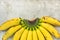 Ripe Colorful Bunch of Gros Michel Baby Bananas on Branch on Grey Stone Concrete Cement Metal Scratched Background