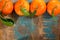 Ripe colorful tropical citrus fruits in row top view, mandarins