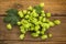 Ripe common hops cones and leaves on rustic background