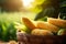 ripe corn in basket country style on the wooden background