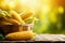 ripe corn in basket country style on the wooden background