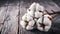 Ripe cotton balls on branch against a rustic wooden background