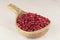 Ripe cranberry in wooden bowl