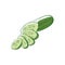 Ripe cucumber isolated icon