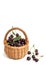 Ripe dark juicy cherries with leaves in a basket on a white background