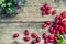 Ripe dogwood on a wooden background. Top view. Close-up