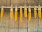 Ripe Dried Corn Cobs Hanging on Old Bamboo Wall