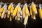 Ripe dried corn cobs hanging on the old wooden wagon