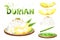 Ripe durian rice cooked with coconut milk, Asian Thai style summer dessert, watercolor hand drawn durian rice illustration and