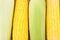 Ripe ear of sweet corn on cobs kernels or grains of ripe corn on white background corn vegetable