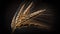 Ripe ears of wheat close-up on a dark background. bread industry.