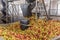 Ripe fall apples in a storage silo, ready to squeeze apple juice