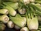 ripe fennels for sale in the greengrocer stall