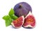 Ripe fig with green leaf basil