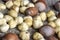 Ripe filbert kernels and hazelnuts in a shell on burlap background. Healthy nutrition, diet food. Close-up. Copy space.