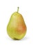 Ripe forelle pear