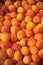 Ripe fresh apricots in a farmers market