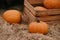 Ripe fresh autumn pumpkins on a farm for Halloween carving. Fall seasonal harvest for pumpkin pie or spooky jack o