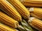 ripe fresh corn cobs for sale in the market