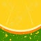 Ripe fresh juicy orange slice, Summertime. APPETIZING BACKGROUND