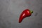 Ripe Fresh large Red Chili slate Background in detail