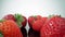 Ripe, fresh, natural strawberries in reflection, in extreme macro, close up. Movement forward, backward.