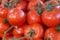 Ripe, fresh, organically grown vine tomatoes