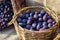 Ripe fresh purple organic plums in basket on the market. Harvest time. Fresh fruits shopping at the local outdoor farmers market