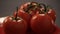 Ripe fresh tomatoes branch lies on red plate on the table