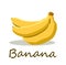 Ripe freshy banana vector on white color background.