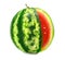 Ripe fruit water-melon with cut is isolated