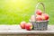 Ripe garden apple fruits in basket