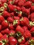 Ripe Garden Strawberries in a Box