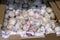 Ripe garlic on the counter of a market stall. raw vegetables, food. Harvest