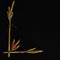Ripe golden wheat ears in form of stylish letter L with red decorative butterfly on black background. Symbolic concept - life,