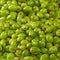 Ripe gooseberries closeup