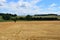 ripe grain fields in the Eifel