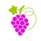 Ripe grape bunch vector icon