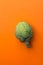 Ripe green artichoke on solid orange background. Creative food poster. Minimalist style. Mediterranean Spanish cuisine