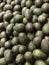 Ripe Green Avocados on Display in a Market Produce Bin