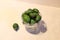 Ripe green feijoa fruits in glass bowl on white background