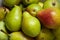 ripe green juicy Ukrainian pears as background, pears