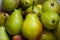 ripe green juicy Ukrainian pears as background, pears