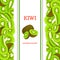 Ripe green kiwifruit vertical seamless border. Vector illustration card with composition Juicy fresh kiwi fruits slice, leaf appet