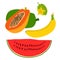 Ripe and Green Papaya Banana Watermelon  Kamranga  vector  artwork  and illustration